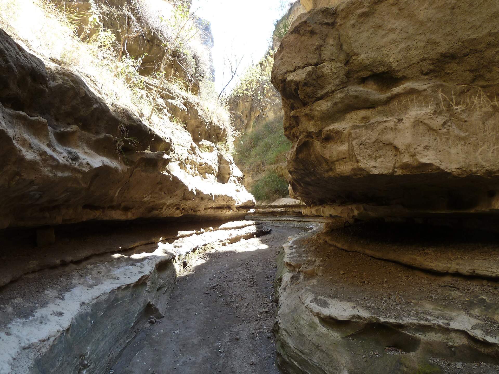 Beyond the mountain: five Kenya adventures that aren't Mount Kenya
