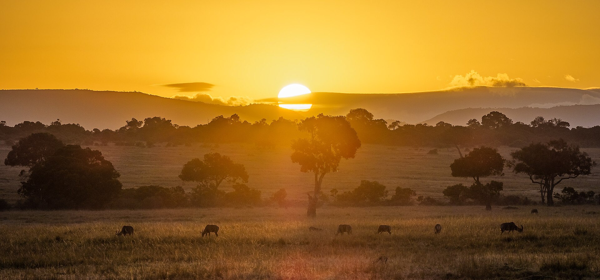 What a Kenya safari really costs in 2026 - real numbers, no surprises