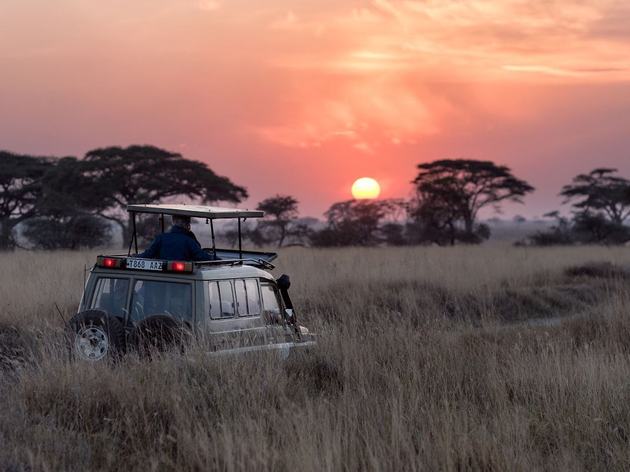 Tanzania wildlife safari