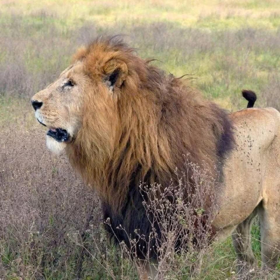 15 Days Kenya, Tanzania & Zanzibar Grand Tour Tour Gallery (85) 1
