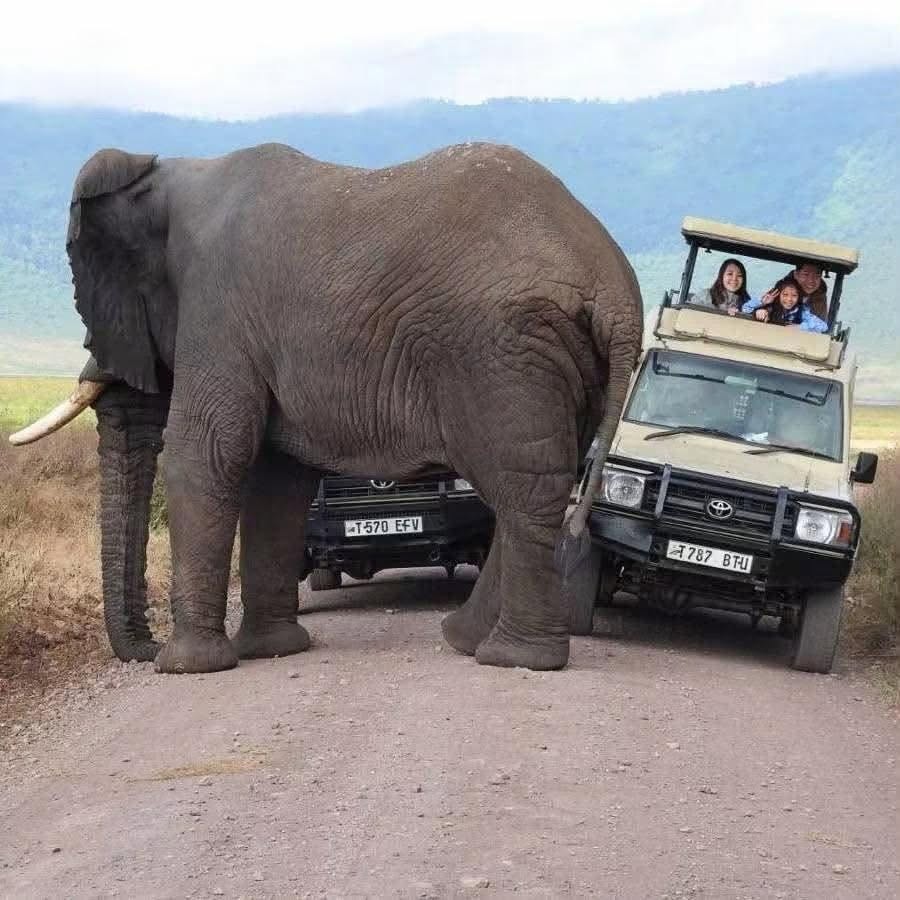 15 Days Kenya, Tanzania & Zanzibar Grand Tour Tour Gallery (85) 2