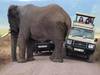 15 Days Kenya, Tanzania & Zanzibar Grand Tour Tour Gallery (85) 2