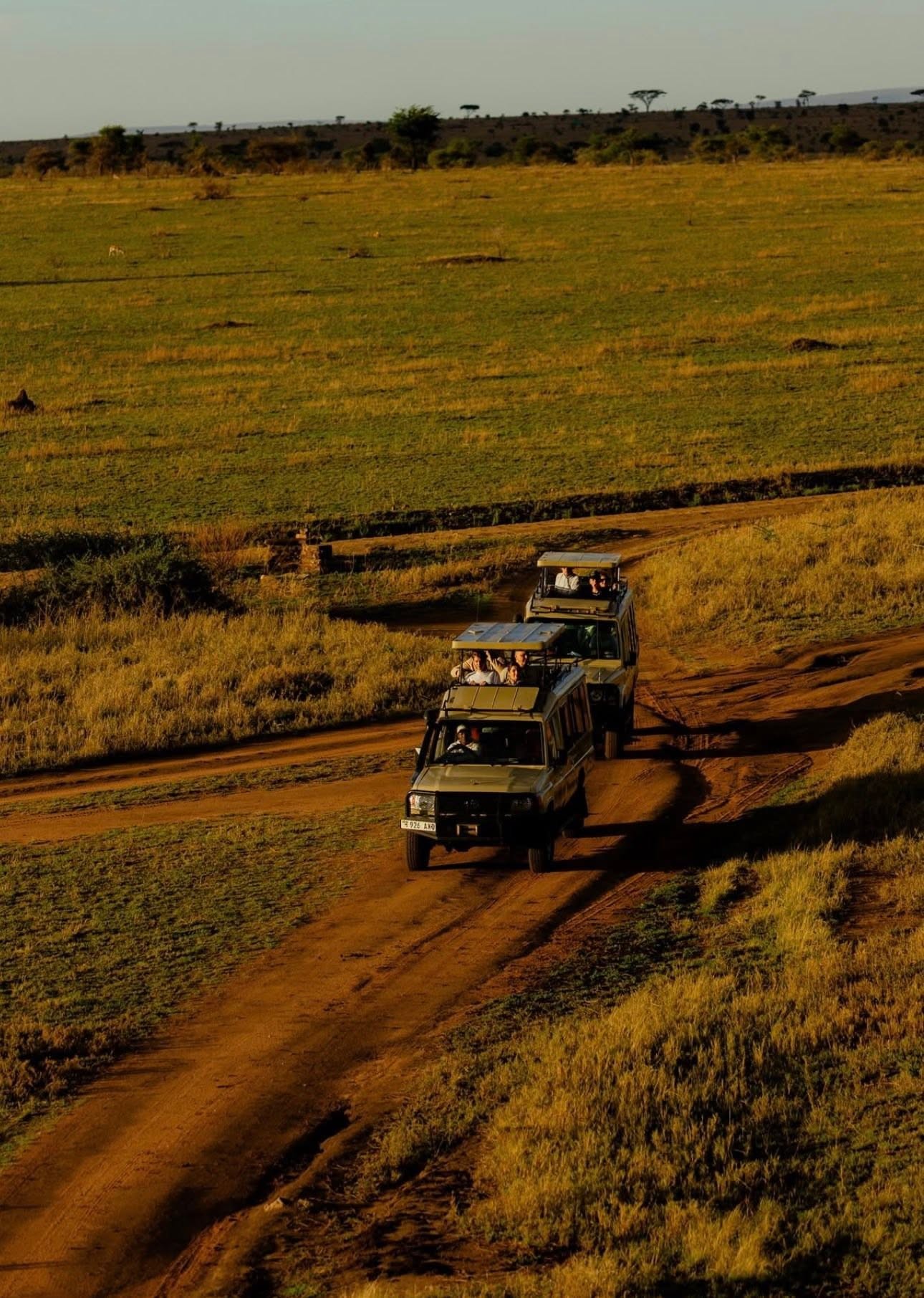 12 Days Kenya & Tanzania Classic Safari Tour Gallery (84) 1
