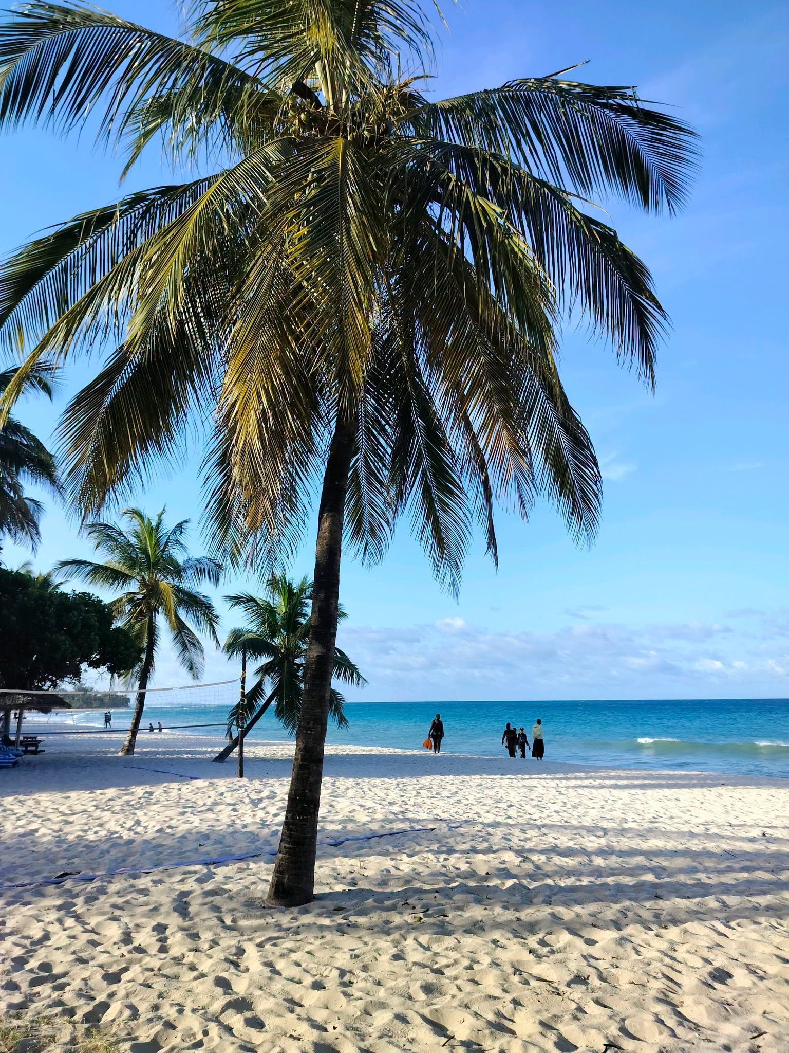 5 Days Diani Beach & Kisite Marine Park Tour Gallery (88) 2