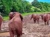 7 Days Safari-Samburu lake nakuru and masai mara adventures Tour Gallery (64) 1