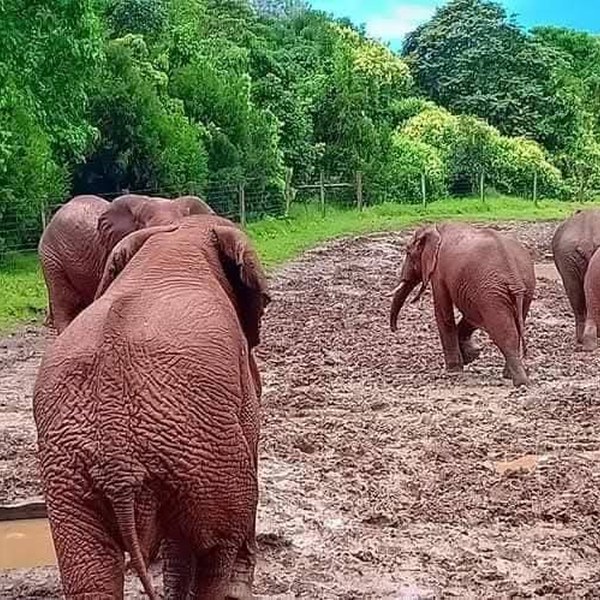 7 Days Safari-Samburu lake nakuru and masai mara adventures Tour Gallery (64) 1