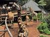 1 Day - Nairobi City Tour (Elephant Orphanage, Giraffe Center, Karen Blixen Museum) Tour Gallery (92) 2
