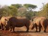 13 Days 12 nights Kenya wildlife holiday tour-family holiday safari Tour Gallery (75) 3