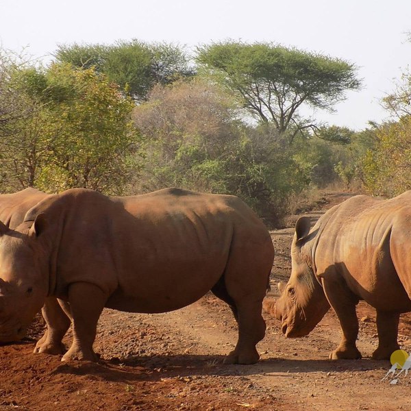 13 Days 12 nights Kenya wildlife holiday tour-family holiday safari Tour Gallery (75) 3