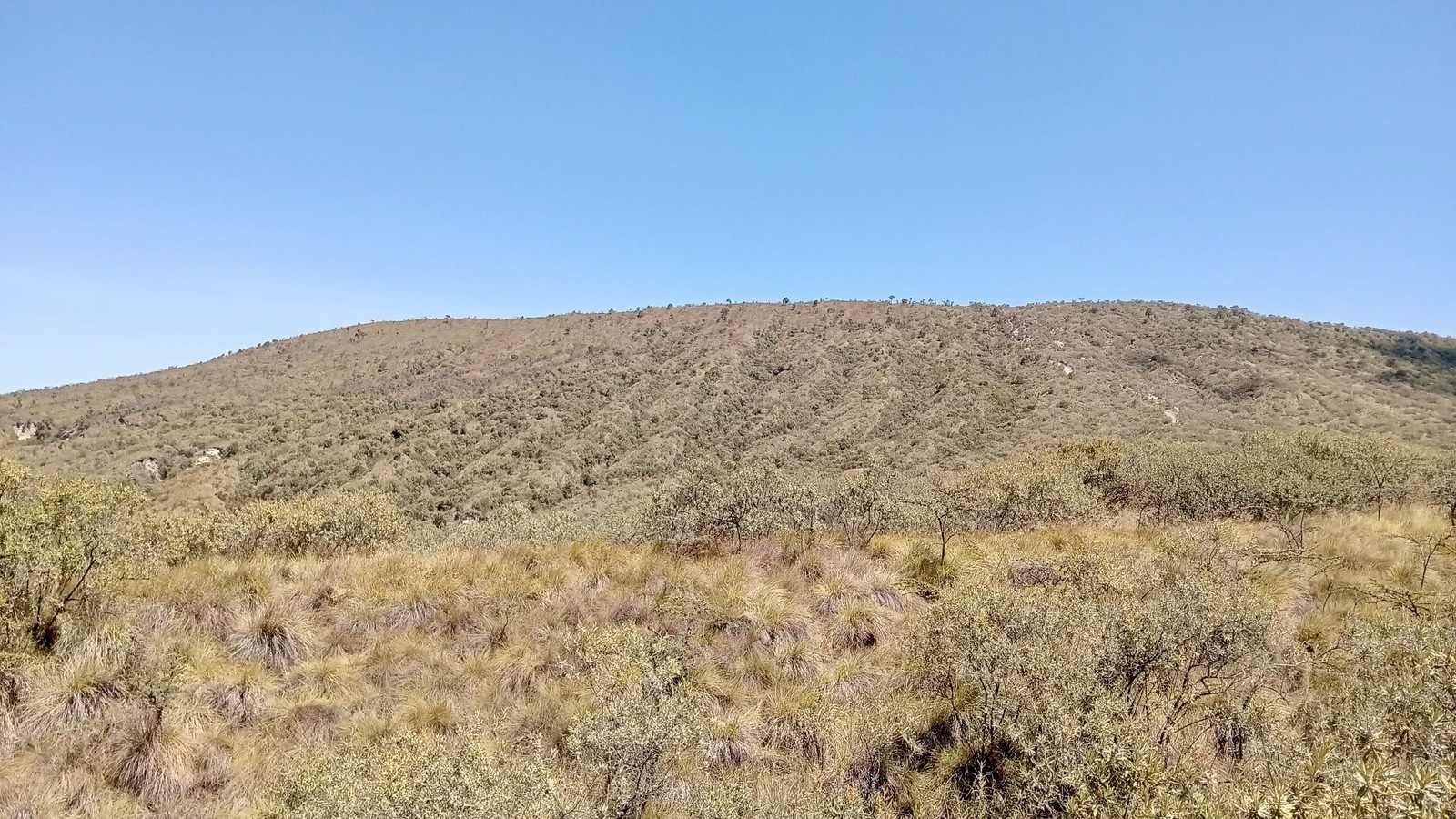 Day trip hiking tour to Mount Longonot National Park Tour Gallery (91) 3