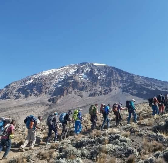 6-Days machame route-mweka-kilimanjaro Tour Gallery (89) 2