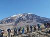 6-Days machame route-mweka-kilimanjaro Tour Gallery (89) 2
