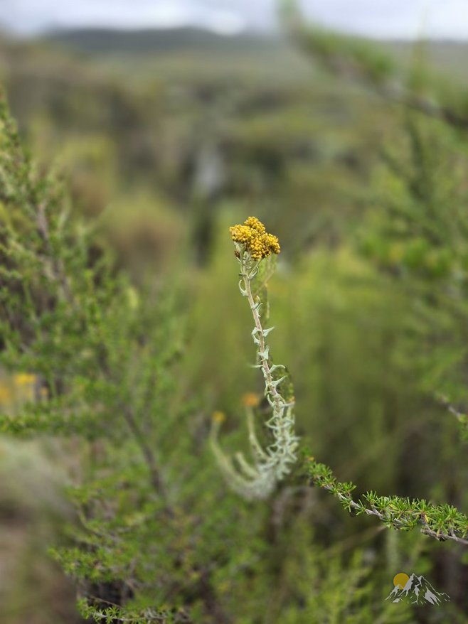 Mountkenya batian rock climbing-8 days Tour Gallery (70) 2