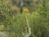 Mountkenya batian rock climbing-8 days Tour Gallery (70) 2