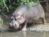 3 Day mountkenya and overnight at Ol pejeta Safari Tour Gallery (74) 3