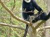 7 Days Safari-Samburu lake nakuru and masai mara adventures Tour Gallery (64) 3