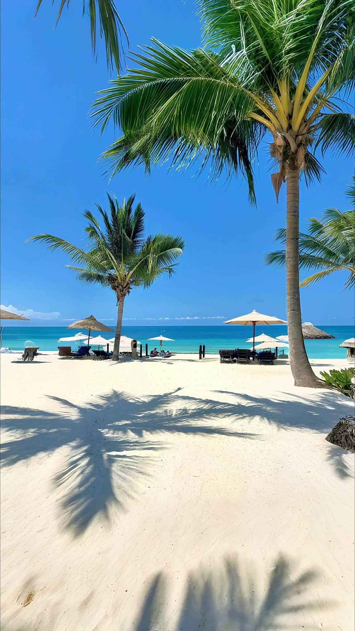 5 Days Zanzibar Beach Escape Tour Gallery (87) 1