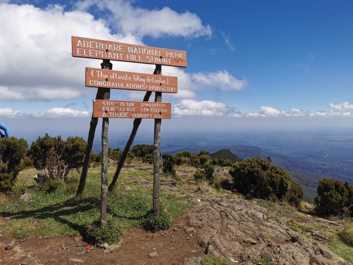 Aberdare Peaks Expedition