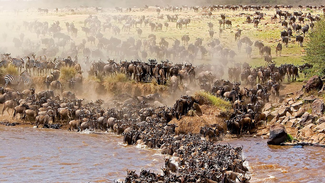 4 Days Great Migration Experience