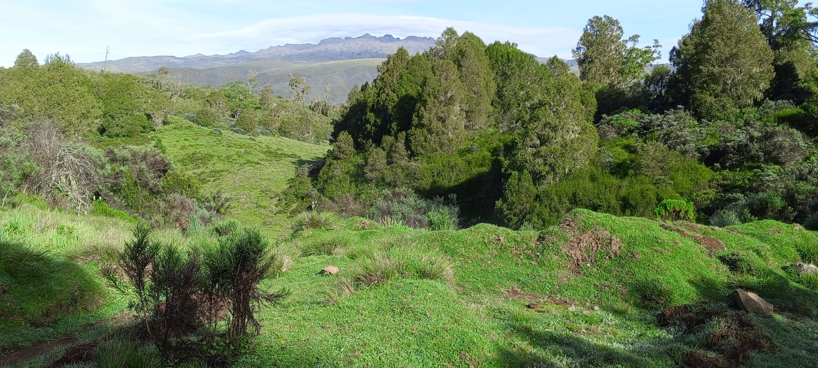 5 Days Chogoria Route climb up the dramatic ridges and lakes