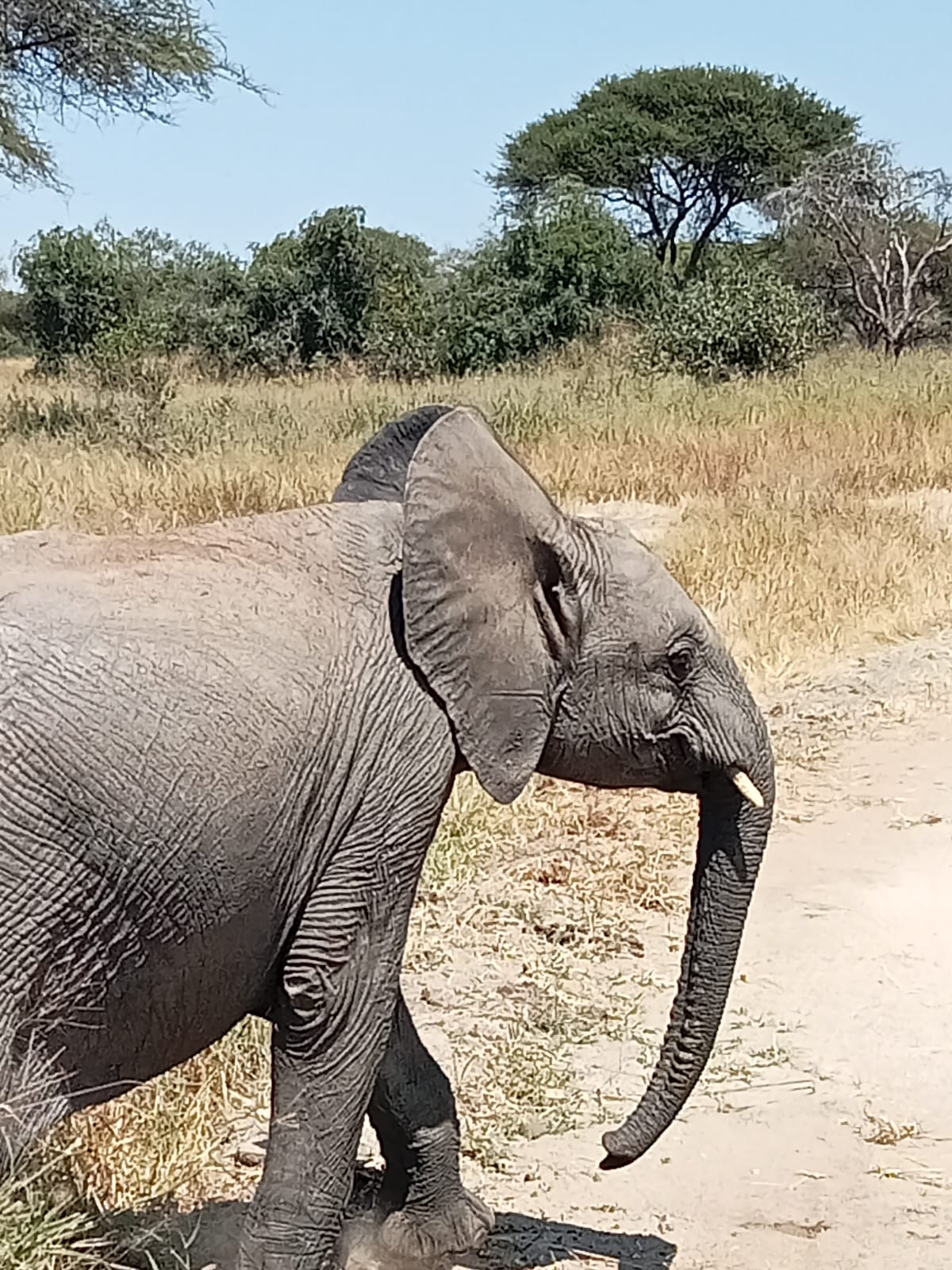 2-Nights Meru National Park