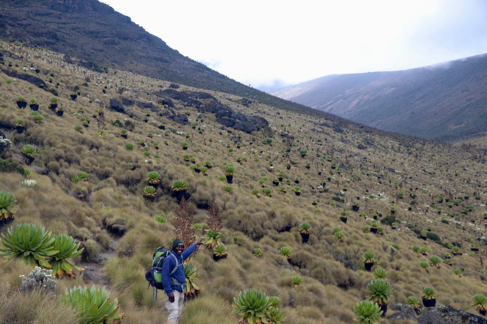 3 Days mountkenya  and  overnight at Ol pejeta Safari