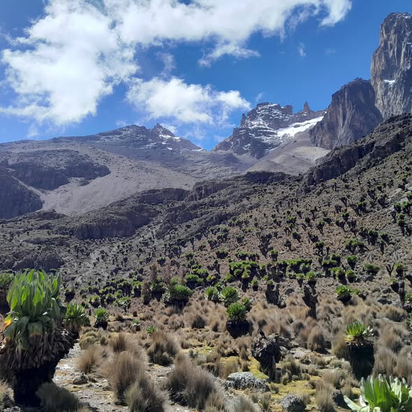 Top Mountkenya Climbing/trekking Packages