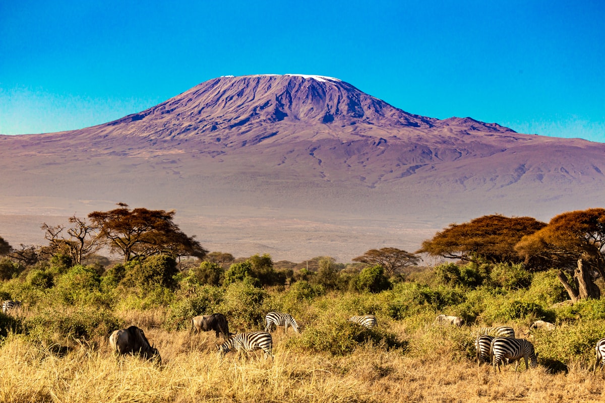 Kilimanjaro Rongai Route