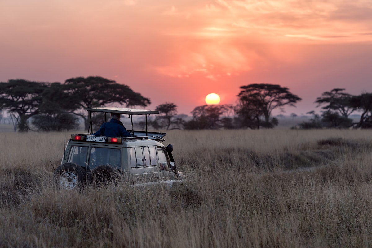 Serengeti & Ngorongoro Combined Camping Safari