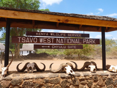 4 Days Tsavo East & West Explorer